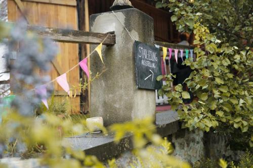 C25 025-08-Sommerfest-Nina-Radeschnig-251