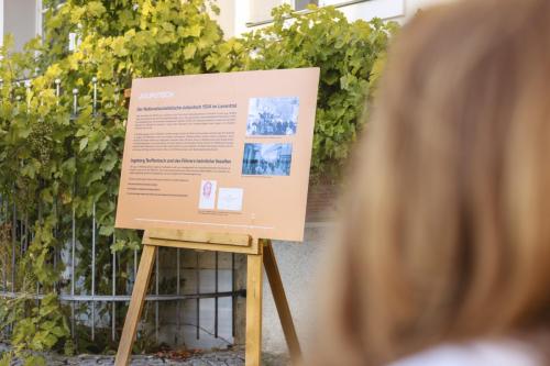 C25 2025-07-Kulturnacht-24